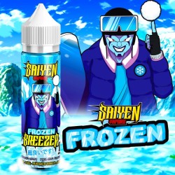 Swoke Frozen Breezer 60ml